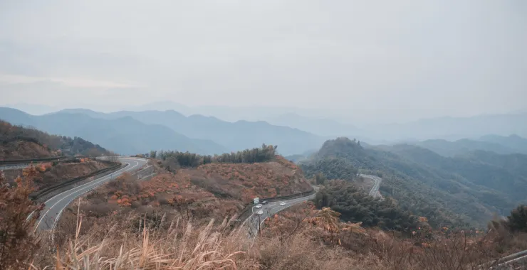 余姚山间道路山路桃花樱花油菜花公交车汽车大山城乡公交树森林美丽背景