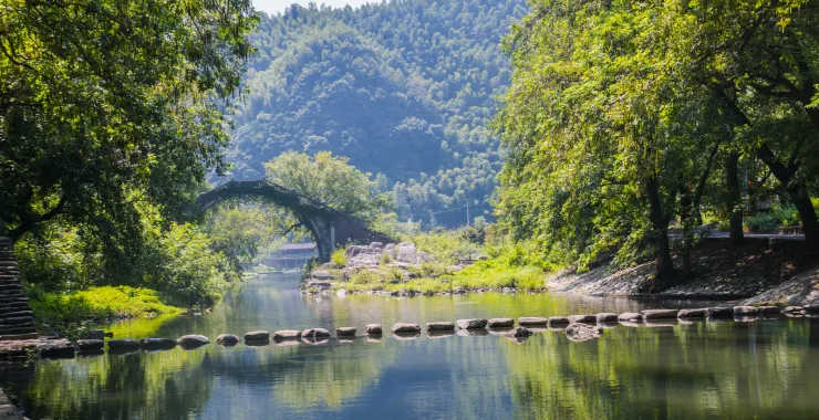 山水风景古桥绿色
