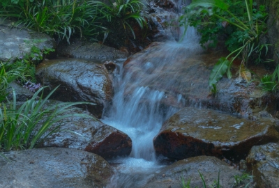 SimilarPics