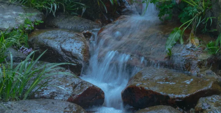 山间自然风景水流小溪森林