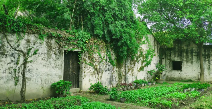 绍兴景点鲁迅故居百草园