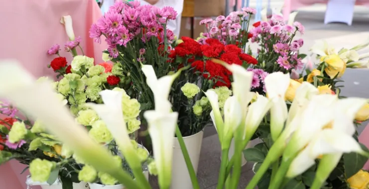 亲子活动摆摊夜市鲜花市集花卉绿植