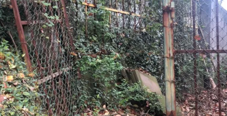 龙山公园动物园一角绿植茂盛出片佳地