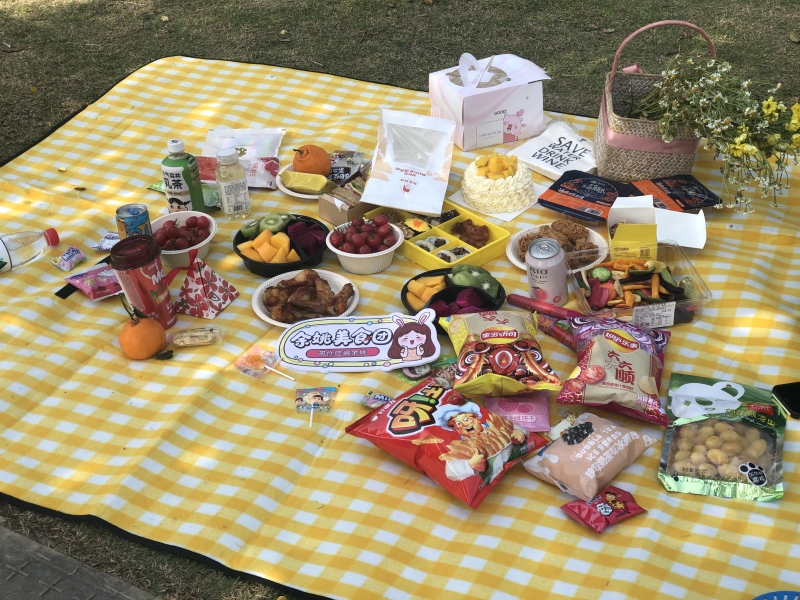 春日里野餐的各色美食