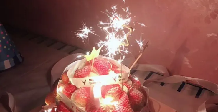 草莓蛋糕动物奶油圣诞主题
