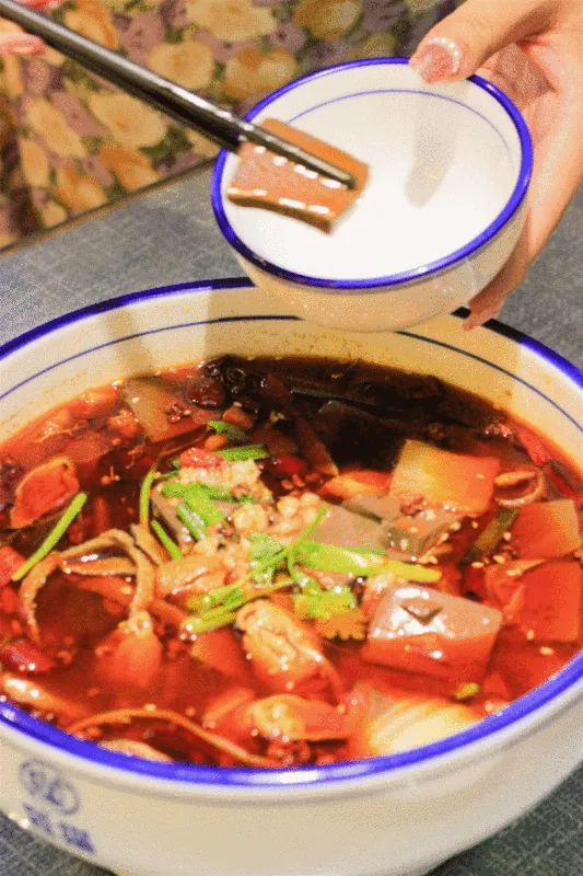 餐饮美食菜品川菜毛血旺