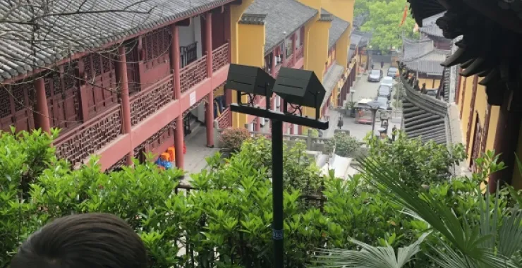 春游龙山公园风景绿植登高望