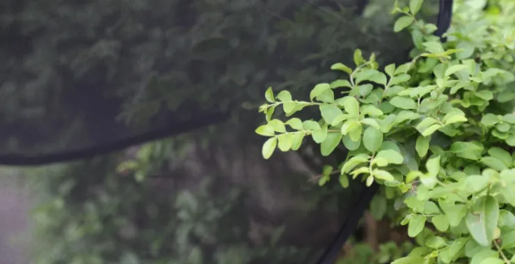 汽车遮阳