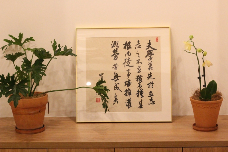 书店摆设字画盆栽