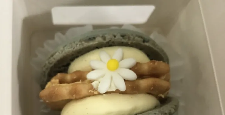 蛋糕甜点少女心马卡龙小雏菊饼干奶油夹心