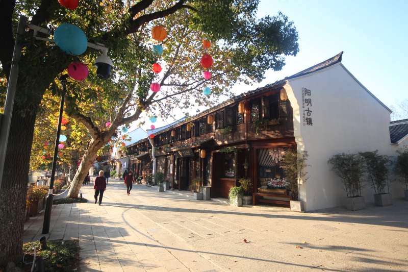 余姚阳明古镇
