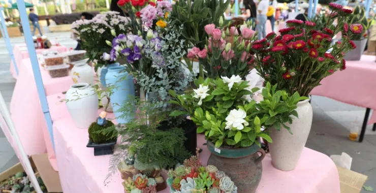 五彩城鲜花市集绿植盆栽多肉植物花朵花卉摆摊
