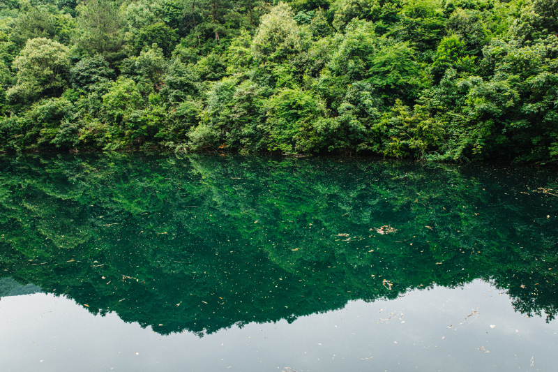 绿水青山植物树山湖水绿色倒影湖面绿植