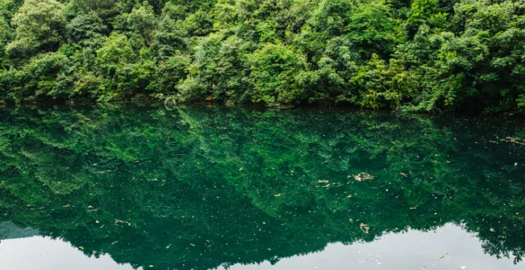 绿水青山植物树山湖水绿色倒影湖面绿植