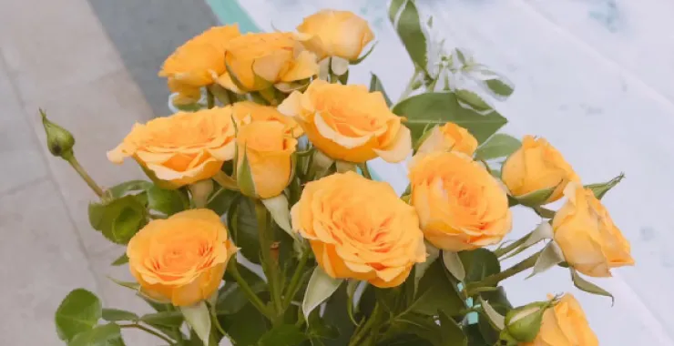 手握黄色玫瑰花束