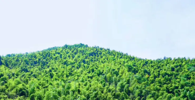 冠佩村里层层叠叠的山和绿色的树木郁郁葱葱