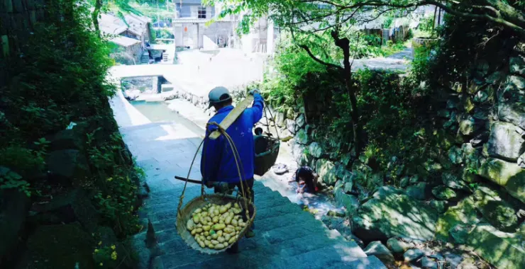 冠佩村挑着扁担下山的人农民山间小路劳动农村