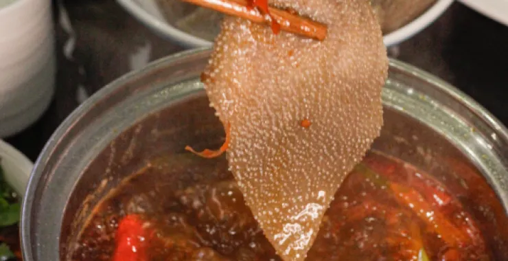 火锅涮菜菜品毛肚美食