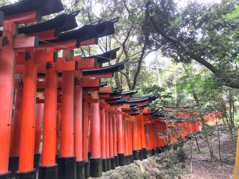 日本京都伏见稻荷大社千本鸟居