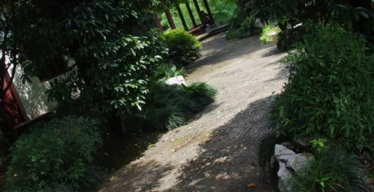 杭州师范大学文一路校区（已拆除）校园林荫大道