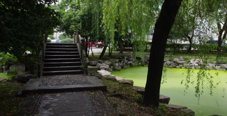 杭州师范大学文一路校区（已拆除）校园柳树石桥水池