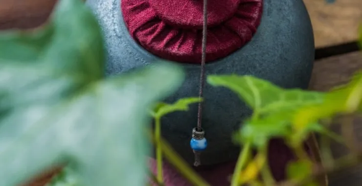 抹茶文艺生活惬意舒适