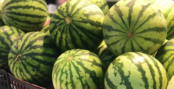西瓜水果夏天绿