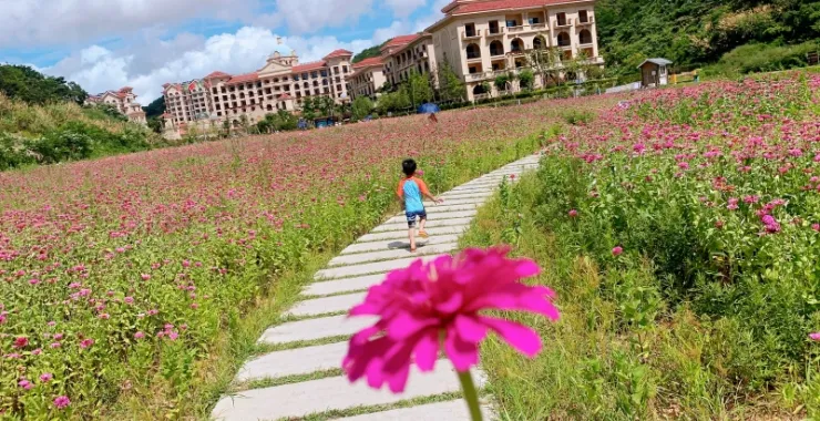 象山旅游酒店住宿花海
