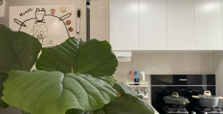 开放式厨房冰箱贴集成灶干净整洁