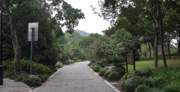 乡间小道公园马路绿化