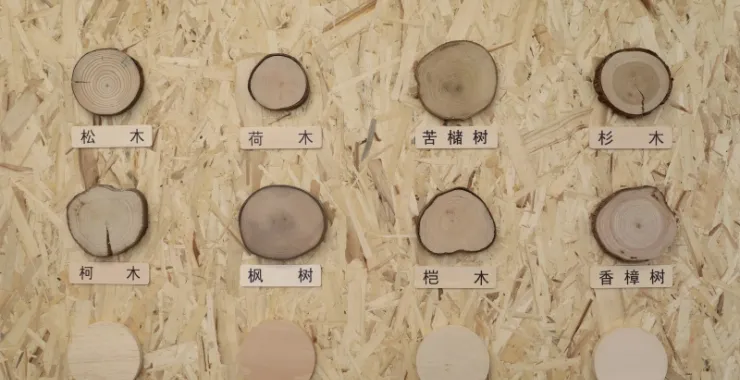 六一幼儿园亲子活动木工手工制作