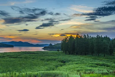 打卡夏日四明湖水杉林 四明山网红地旅行