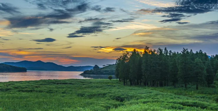打卡夏日四明湖水杉林 四明山网红地旅行