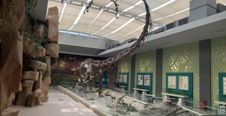 甘肃博物馆恐龙骨架展示