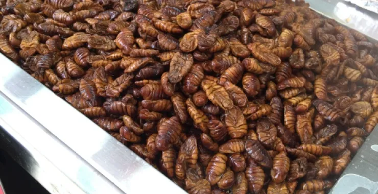 韩国料理美味特色街头小吃