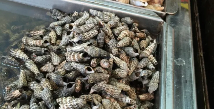 韩国料理美味特色街头小吃