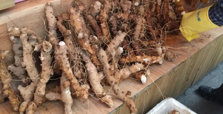 韩国料理美味特色街头小吃