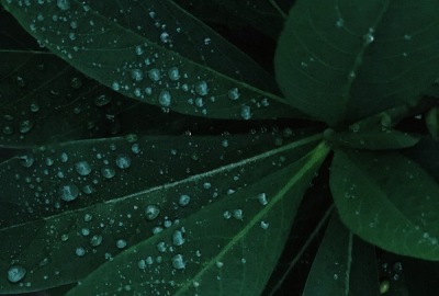 SimilarPics
