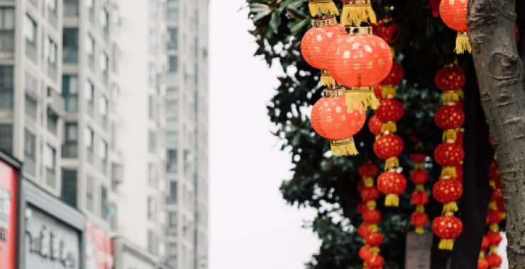 过年年味红灯笼