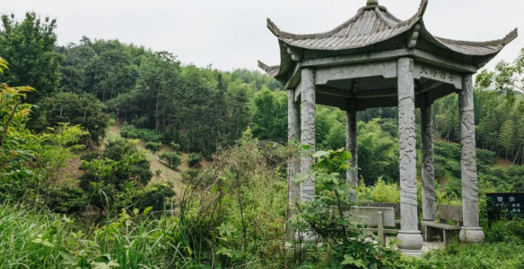 余姚三七市山植物亭子大岭古亭
