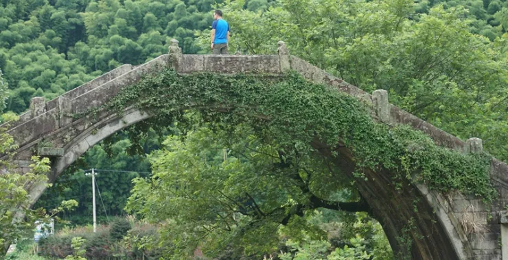 风景山区白云桥绿植古建筑