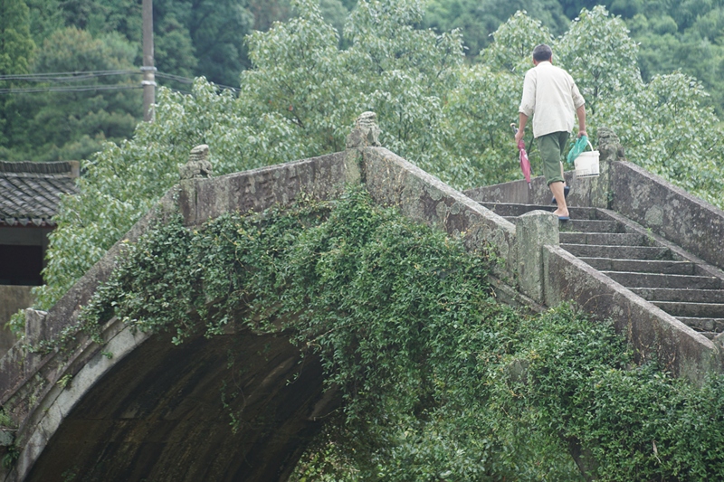 风景山区白云桥绿植古建筑