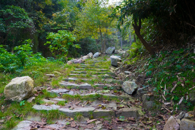 风景古道爬山锻炼