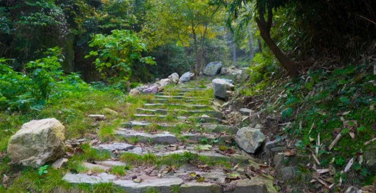 风景古道爬山锻炼