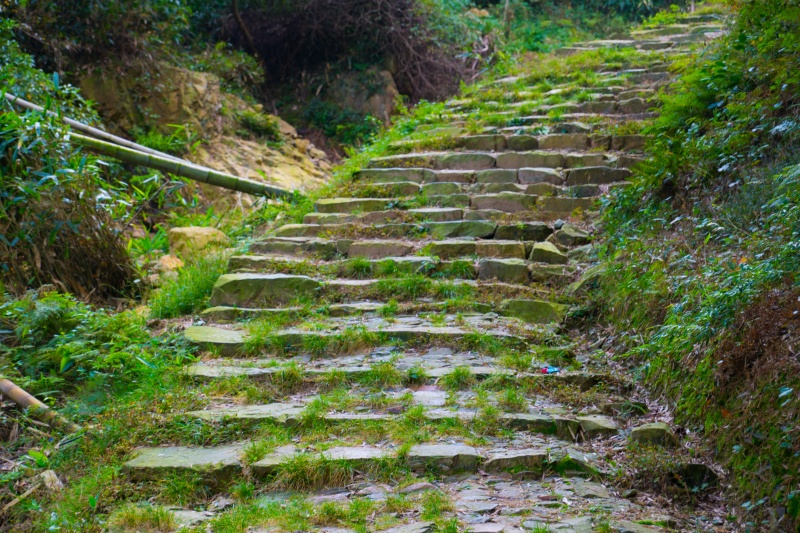 风景古道爬山锻炼