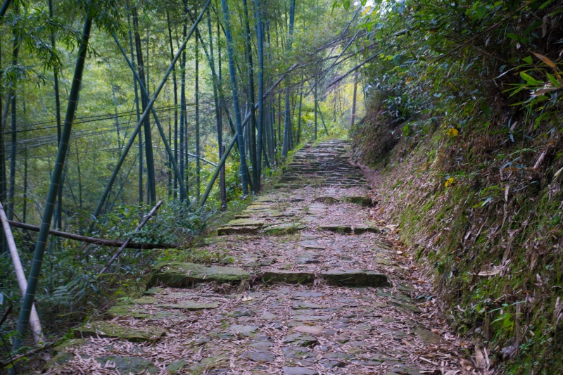 风景古道爬山锻炼