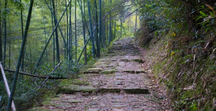 风景古道爬山锻炼