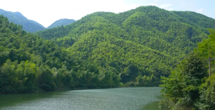 风景山水绿色溪水夏天