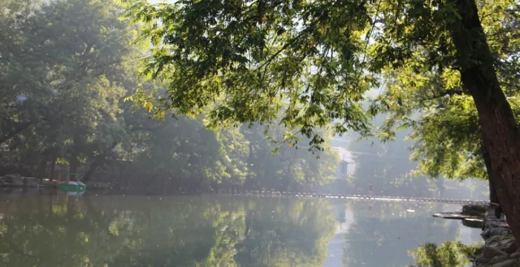 鹿亭山水绿植夏天