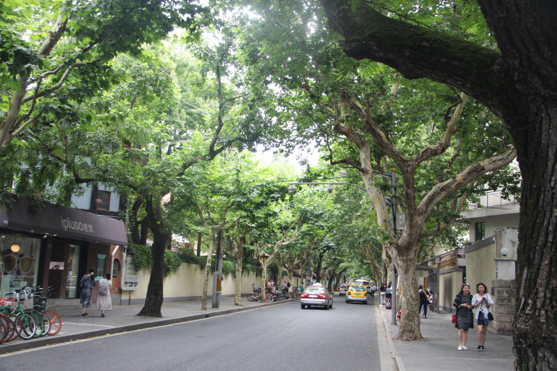 上海街头夏日马路散步